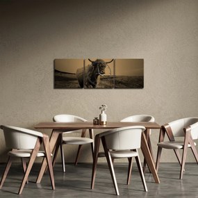 Obraz - Szkocka krowa na wolności (z zegarem) (90x30 cm)
