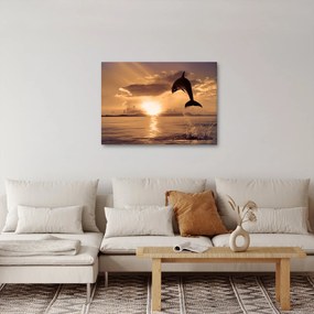 Obraz - Delfin o zachodzie słońca (70x50 cm)