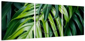 Obraz - Tropikalne liście (z zegarem) (90x30 cm)