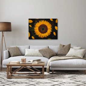 Obraz  - Słonecznik i płatki kwiatów (70x50 cm)