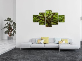 Obraz - Zielone drzewo (125x70 cm)