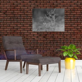 Obraz - Wiejska łąka (70x50 cm)