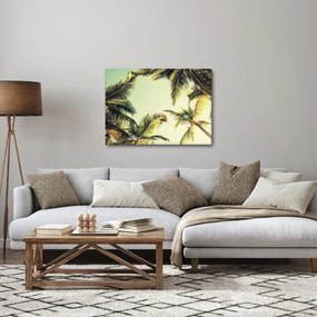 Obraz z palmami kokosowymi (70x50 cm)