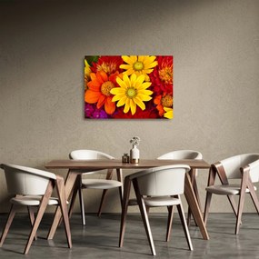 Obraz na szkle kwiatów (70x50 cm)