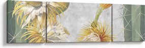 Obraz - Kwitnące kaktusy (170x50 cm)