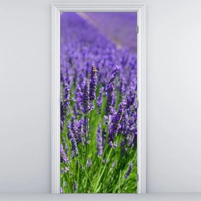 Fototapeta na drzwi - Lawenda (95x205cm)