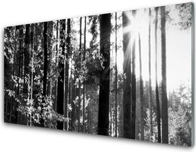 Panel Kuchenny Zielone Serce Lasu