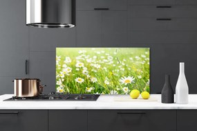 Szkło do Kuchni na Ścianę Polana Białych Stokrotek