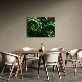 Obraz - Spirale (70x50 cm)