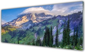 Panel nad blat kuchenny Panorama Górskiego Boru