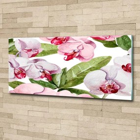 Fotoobraz na ścianę szklany Różowe orchidee