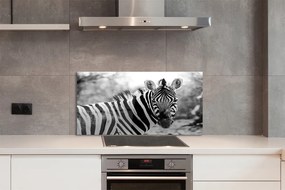 Panel szklany do Kuchni Zebra w Stylu Retro