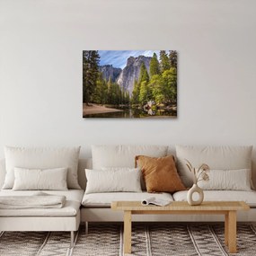 Obraz - Pod Yosemite Rock (70x50 cm)