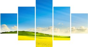 Obraz - Wiosenne niebo (125x70 cm)
