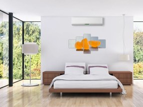 Obraz mandarynek (125x70 cm)