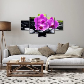 Obraz - Storczyki (125x70 cm)