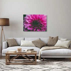 Obraz na szkle - różowy kwiat róży (70x50 cm)