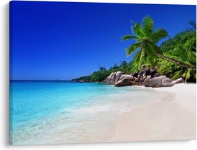 Obraz plaży na wyspie Praslin (70x50 cm)