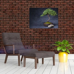 Obraz na szkle - Bonsai (70x50 cm)