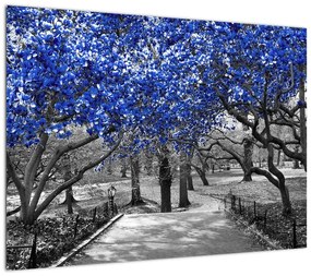 Obraz na szkle - Niebieskie drzewa, Central Park, New York (70x50 cm)