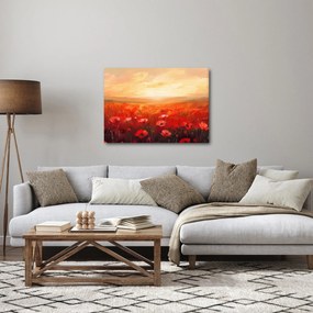 Obraz - Pole maków (70x50 cm)