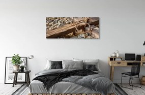 Zdjęcie na płótnie Krzyż, Kamienie i Ciernie