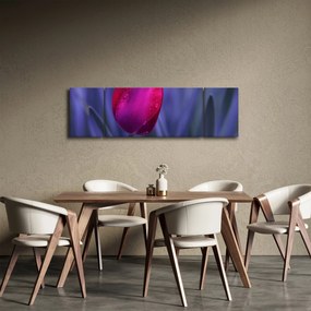 Obraz pąka tulipana (170x50 cm)