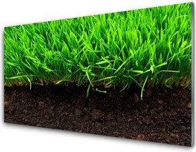 Szkło Ozdobne do Kuchni Świeża Trawa O Poranku