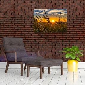 Obraz pola o zachodzie słońca (70x50 cm)