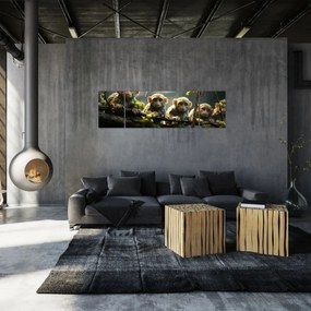 Obraz - Małpy (170x50 cm)