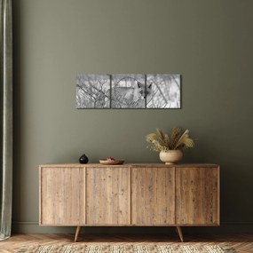 Obraz - Lis, czarno - biały (z zegarem) (90x30 cm)