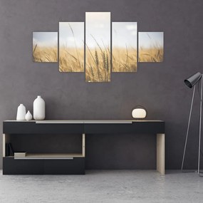 Obraz ziarna (125x70 cm)