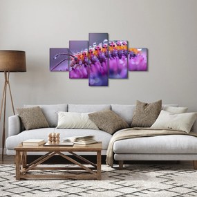 Obraz - Caterpillar (125x70 cm)