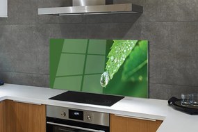 Szklany Panel Poranny Detal na Liściu