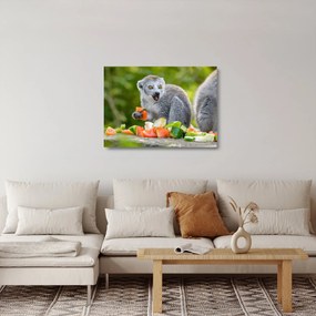 Obraz na szkle lemura (70x50 cm)
