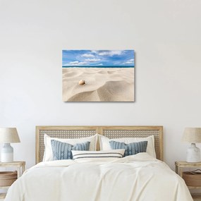 Obraz na szkle - Muszle na plaży (70x50 cm)