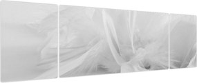 Obraz - Pióra (170x50 cm)