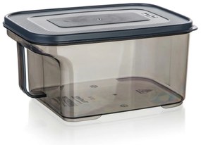 Banquet Pojemnik do przechowywania z uchwytem ZOYA1,7 l, dymny, 1,7 l