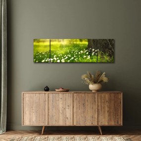 Obraz polany i kwiatów (170x50 cm)