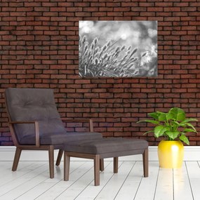 Obraz - Beżowa miękka trawa N⁰1 (70x50 cm)