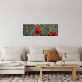 Obraz - Łąka z makami (z zegarem) (90x30 cm)