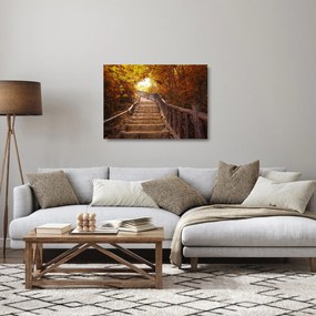 Obraz na szkle - Schody w naturze jesienią (70x50 cm)