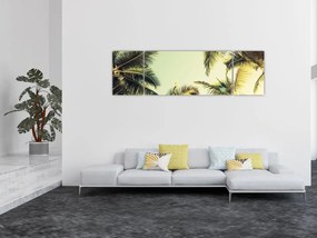 Obraz z palmami kokosowymi (170x50 cm)