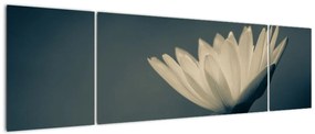 Obraz kwiatu (170x50 cm)