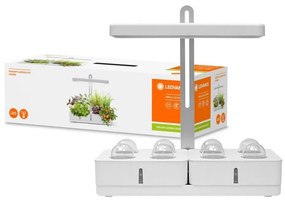 Ledvance - Lampa LED do wnętrz na rośliny GARDEN KIT LED/24W/230V