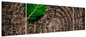 Obraz liścia na pniu drzewa (170x50 cm)