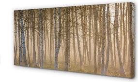 Obraz drukowany na płótnie Wschód Słońca w Lesie