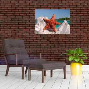 Obraz rozgwiazdy (70x50 cm)