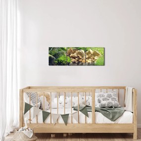 Obraz jeziora w dżungli Seszeli (z zegarem) (90x30 cm)