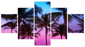 Obraz - Palmy w Miami (125x70 cm)